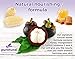 Puretural Luffa Soap Gift Box Set of 3 x 100 Grams Includes 1x Mangosteen, 1x Papaya, 1x Green Tea Loofah Soap Bar with Honey Aromatherapy to clean dark spots body scrub for Stretch marks Whitening