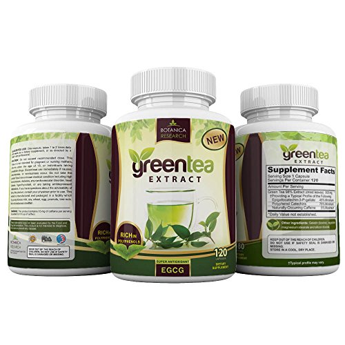 Green Tea Extract EGCG Polyphenols Supplement Stomach Fat Burner Energy