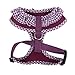 Authentic Puppia Vivien Harness, Purple, Medium