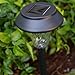 Enchanted Spaces Black Solar Path Light, Set of 6, with Glass Lens, Metal Ground Stake, and Extra-Bright LED for Lawn, Patio, Yard, Walkway, Driveway