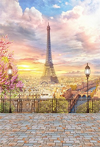 Laeacco 5x7ft Vinyl Photography Background Paris Balcony Landscape City Aerial View Eiffel Tower Street Lamp Cloudy Sky Blossoms Trees Pink Photo Background Wedding Girls Adult Background Studio Video