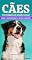 Livro Minibooks EdiCase - Cachorro: Curiosidades do mundo canino