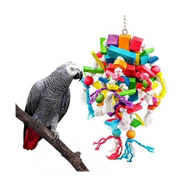 parrot toys pets at home