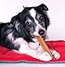 Downtown Pet Supply Yak Cheese Himalayan Dog Chews - Large Yak Chews Rich in Nutrients for Medium to Large Dogs - Long Lasting, Odorless and Easy to Digest Cheese Dog Treats - 1 LB
