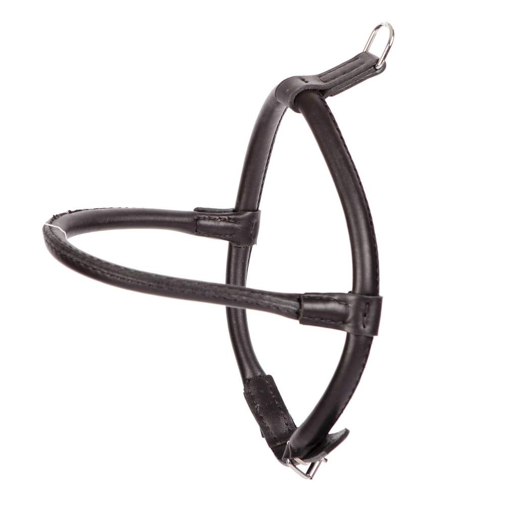 Dingo Black Leather Harness for Chow Chow and Furry Dog Breed 10572