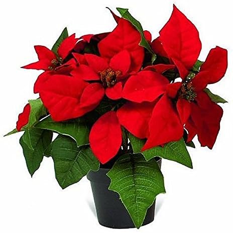 27cm Artificial Red Christmas Poinsettia Plant In Pot Amazon Co Uk Home Kitchen