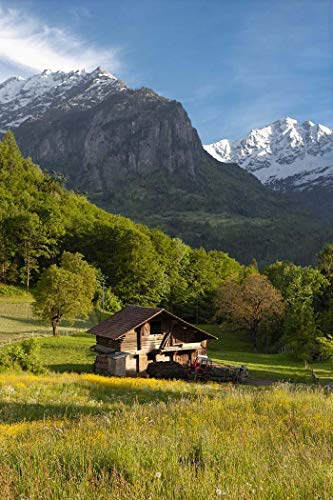 Amazon Com Switzerland Photography Canton Bern Bernese