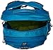 Osprey Adult Ozone Day Pack
