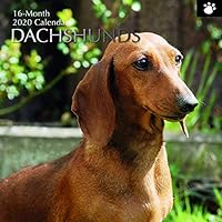 The Gifted Stationery 2020 Wall Calendar - Dachshunds Designs