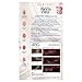 Clairol Nice'n Easy Permanent Hair Dye, 4BG Dark Burgundy Hair Color, Pack of 1