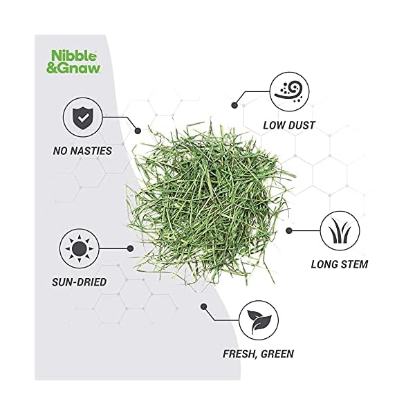 NibbleGnaw-Timothy-Hay-16Kg-Fresh-Green-Dust-Free-Long-Stem-Sun-Dried-Feeding-Hay-Rabbits-Guinea-Pigs-Hamsters-First-Cut-100-Natural-Food Nibble&Gnaw Timothy Hay 1.6Kg | Fresh, Green, Dust-Free, Long-Stem, Sun-Dried Feeding Hay | Rabbits, Guinea Pigs…