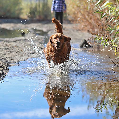 Grip-Clean-All-Natural-Dog-Shampoo-and-Conditioner-Heavy-Duty-For-OutdoorStinky-dogs-Aloe-vera-Tea-Tree-Oil-Coconut-Oil-Rice-Bran-Vitamin-E