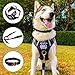 TIANYAO Dog Harness No-Pull Dog Vest Set Reflective Adjustable Oxford Material Pet Harness for Medium Large Dogs with Leash and Collar (X-Large(Chest:35-43”), Black)