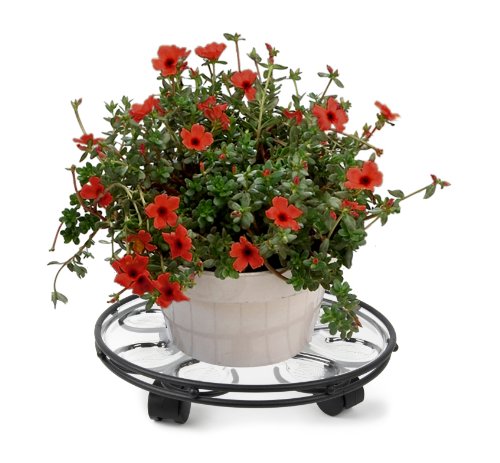 Plastec SC14BK Saucer Caddy Deluxe, Black, 14-Inch