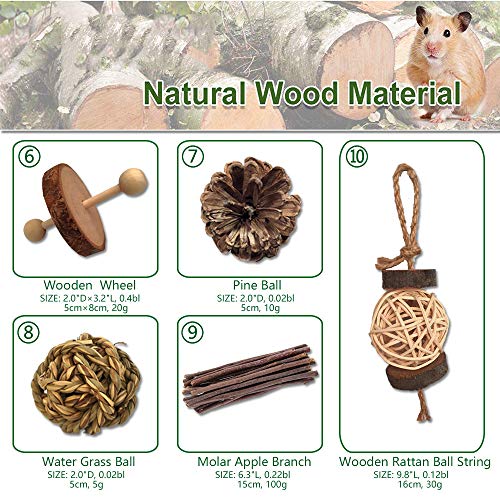 10 Pack Small Animal Combo Apple Wood Activity Toys, Hamsters Chew Toys
