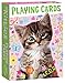 Peaceable Kingdom Cute Kitties Playing Card Deck of 52 Cards Plus 2 Jokers with Box