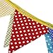 TINKSKY Bunting Banners Flags for Wedding Birthday Party-Dot Grid Pattern,11pcs (Random Color)