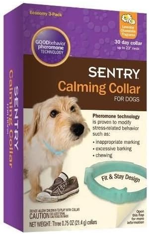 double training lead