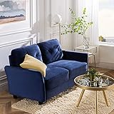 ZINUS Ricardo Velvet Loveseat Sofa