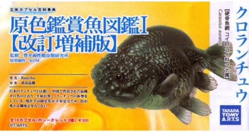 Amazon 立体カプセル百科事典 原色観賞魚図鑑i 改訂増補版 3 クロランチュウ 単品 カプセル玩具 おもちゃ