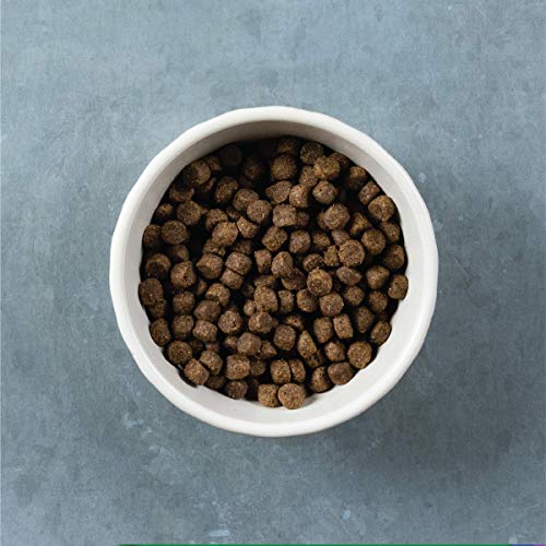 EVOLVE GRAIN FREE DEBONED SALMON & SWEET POTATO RECIPE DOG FOOD, 3.5 LB.