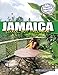 Jamaica: Likkle, but Tallawah! (Diary of a Traveling Black Woman: A Guide to International Travel Book 3) by Shadeyka Warren