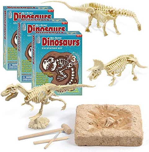 XX Dinosaur Dig Excavation Kit for Kids 3 Different Dino Assembly Bone Model