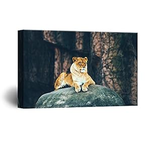Canvas Wall Art - A Lion Lying on a Giant Rock - Giclee Print Gallery Wrap Modern Home Art Ready to Hang - 12x18 inches