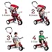 Radio Flyer All-Terrain Stroll 'N Trike Ride On