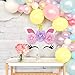 Unicorn Backdrop Party Supplies Decorations - Paper Tissue Flower Decor