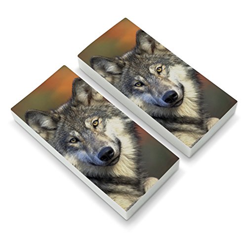 Gray Wolf with Fall Background Eraser Set of 2