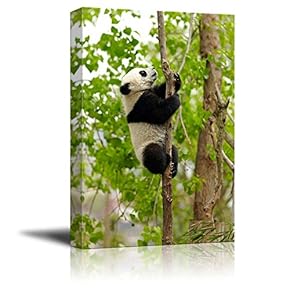Canvas Prints Wall Art - Baby Giant Panda Climbing Over The Tree | Modern Wall Decor/Home Art Stretched Gallery Canvas Wrap Giclee Print & Ready to Hang - 12" x 18"