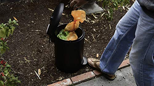 Premium Dog Waste Trash Can with Integrated Fly Trap for Small and Medium Sized Dogs (to 50 lbs.), Stainless Steel, Black, for Poop Bag, Pooper Scooper and Shovel Disposal