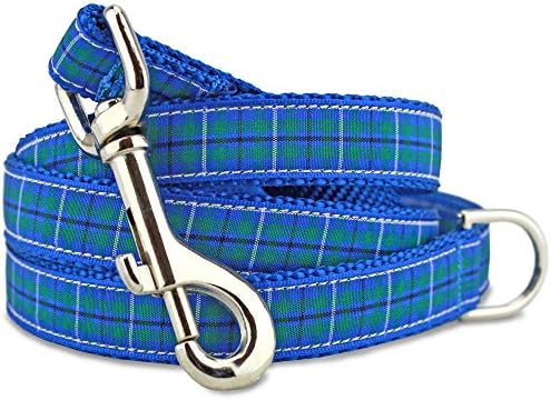 Plaid Dog Leash, Douglas Tartan, 5 Ft Long, 1" Wide