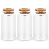 3PC100ML Empty Glass Jars with Cork Stoppers for