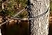 Hiker Hunger Outfitters Portable Hammock Straps for Trees - XL Tree Swing Straps Hanging Kit 20ft, Hammock Tree Straps, Daisy Chain Tree Straps for Hammock Heavy Duty - Camping Hammock Straps - Orange