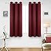 Deconovo Room Darkening Thermal Insulated Blackout Grommet Window Curtain Panel for Living Room, Red,42x63-inch,1 Panel