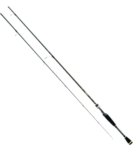 Daiwa AIRX702MHFB Aird-X 10-20 lb Test Rod, Black, One Size : Sports & Outdoors