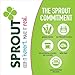 Sprout Organic Baby Food, Stage 4 Toddler Snacks, Apple Carrot Cinnamon Wafflez, Single Serve Waffles 5 Count(Pack of 1)