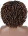 Kalyss Short Kinky Curly Wigs for Women Ombre Brown with Black Roots Premium Synthetic Natural Afro Wigs with Hair Bangs Lightweight Full and Bouncy