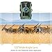 TOGUARD Trail Camera 14MP 1080P Game Hunting Cameras with Night Vision Waterproof 2.4