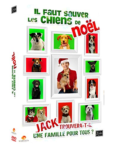 Il Faut Sauver Les Chiens De Noël