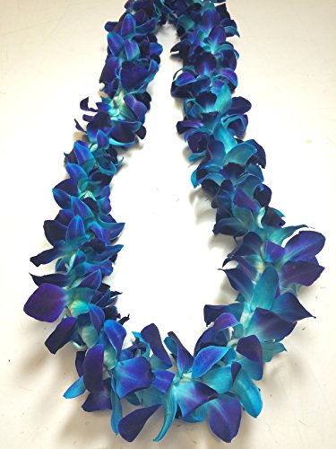 Fresh Hawaiian Orchid Flower Lei, Single Strand - Tinted Blue