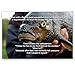 JOKES postcard set of 20. Post card variety pack of funny joke postcards. Made in USA.