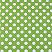 HDE Rotating iPad Case Magnetic Folding Leather Cover Folio Flip Stand for Apple iPad 2 iPad 3 iPad 4 (Green & White Polka Dot)