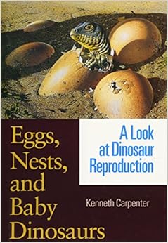 Eggs Nests And Baby Dinosaurs A Look At Dinosaur