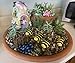 Mystic Garden Solar Resin Fairy Garden House. Beehive Design. Lights up at Night; Indoor or Outdoor Fairy Home for Flower Gardens, planters, Window Boxes, Terrarium or Yard.