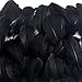 Coceca 300pcs Black Feathers for Various Birthday Party Wedding Festival Party Decorations