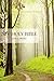 NIV, Holy Bible, Large Print, Paperback