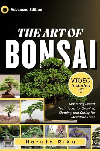 The Magician: The Bonsai Art of Kimura 2 (Bonsai Today Masters
